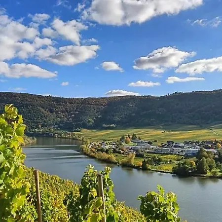 Ferienapartment Weber-loskill Mehring (Rhineland-Palatinate)